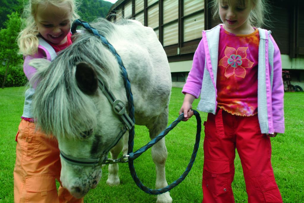 Familienhotel Steindl Millstatt am See Zewnętrze zdjęcie